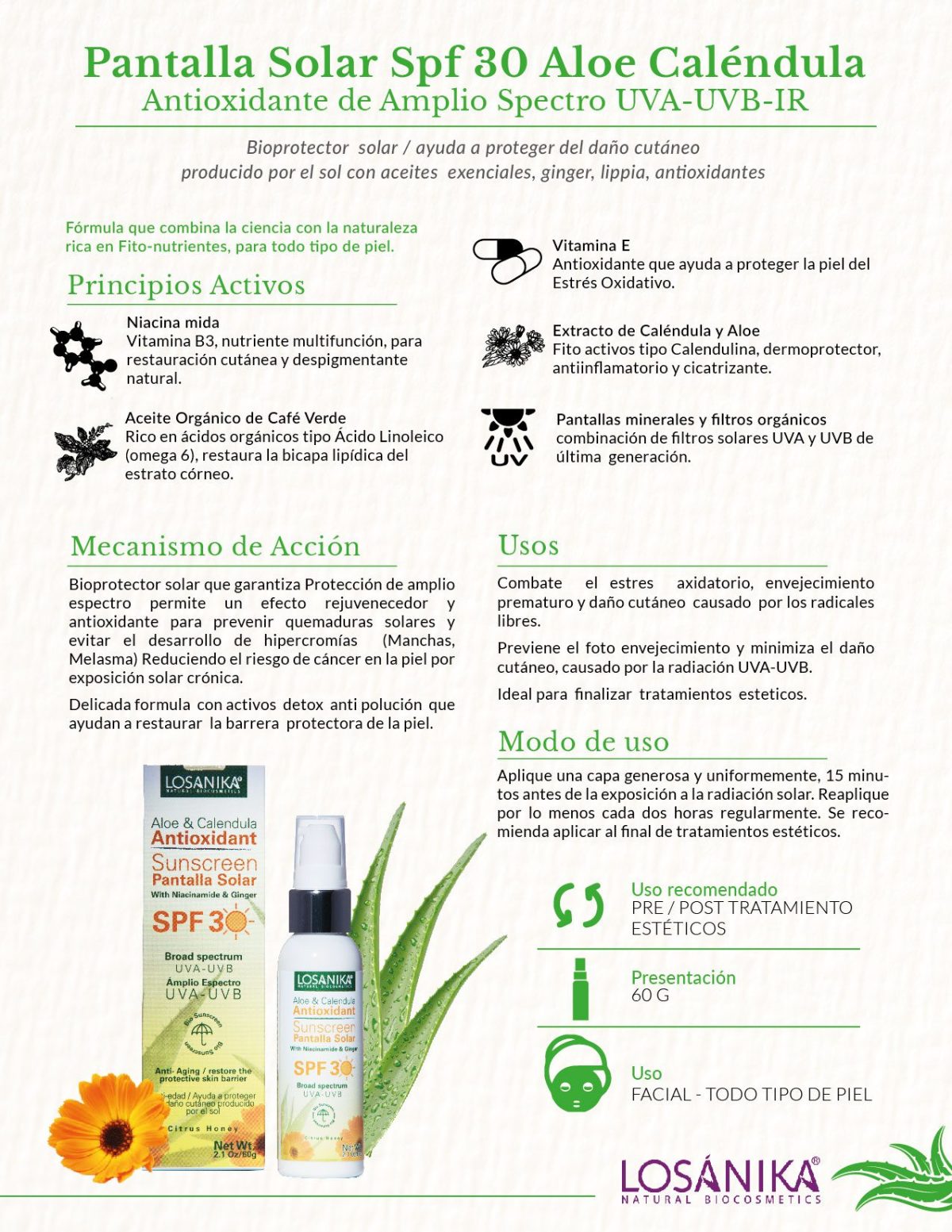 SPF 30 ALOE & CALENDULA ANTIOXIDANTE PANTALLA SOLAR – 60g – GBQ ...